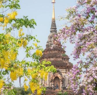 Wua Lai Villa | candy house ที่พักวัวลาย เชียงใหม่