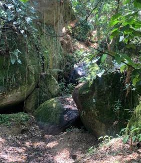 Goncalves House | Cantinho da Araucária