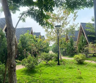 Cao Phong House | Cao Phong Glamping