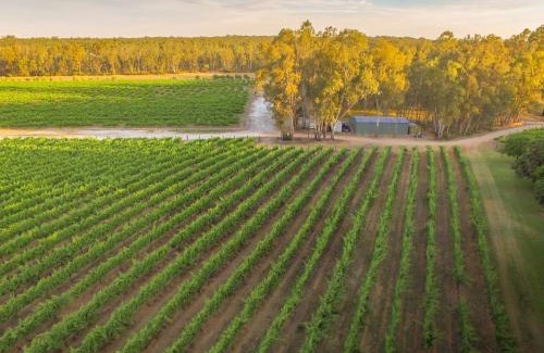Lower Moira House | Cape Horn Vineyard 5 Bedroom Riverfront House on Working Vineyard