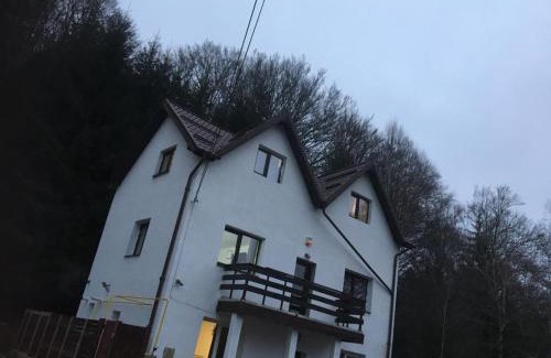 Busteni Ski Chalet | Caraiman Hive