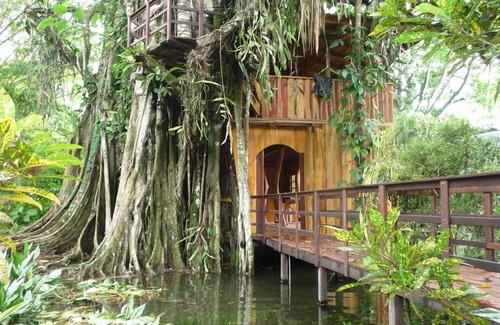 Cahuita House | caribbean jungle tree house