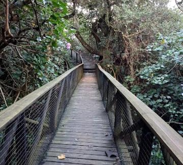 Port Edward House | Caribbeans Estates 76/34