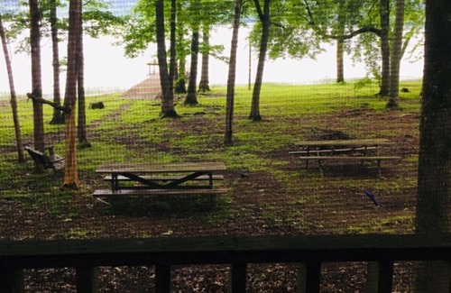 Waterloo House | Carls Cabin Pickwick Lake second creek .Waterloo AL pier sleeps 10 WIFI