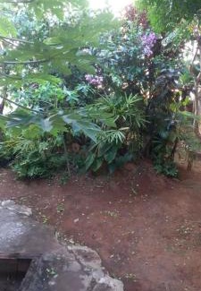 Barbalho House | CARNAVAL 2025 em SALVADOR