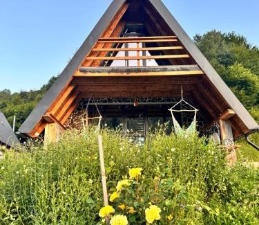 Dragoslavele Ski Chalet | Carpathian A-frame
