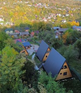 Runcu Ski Chalet | Carpatina Rustic House -Chaleturi A-frame Runcu