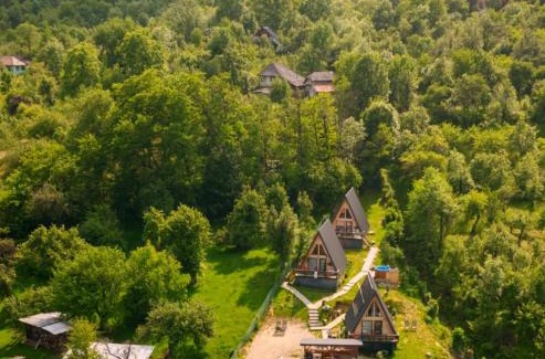 Runcu Ski Chalet | Carpatina Rustic House -Chaleturi A-frame Runcu