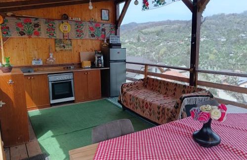 Runcu Ski Chalet | Carpatina Rustic House -Chaleturi A-frame Runcu