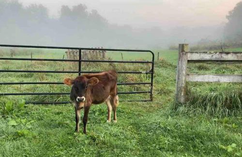 Hillsboro House | Carriage House Farm-stay near Rocky Fork Lake