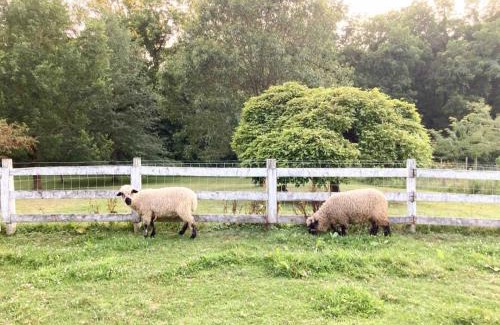 Hillsboro House | Carriage House Farm-stay near Rocky Fork Lake
