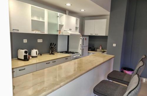 Satu Mare Apartment | Casă casă