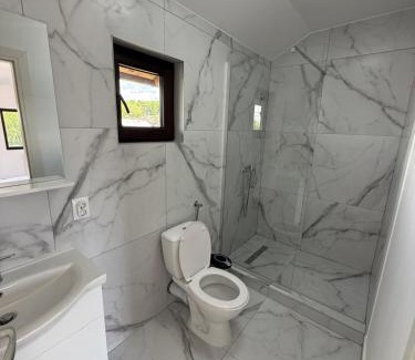 Gura Ocnitei Villa | Casă de vacanță