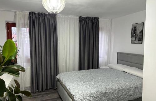 Dofteana House | Casa în regim hotelier