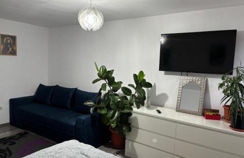 Dofteana House | Casa în regim hotelier