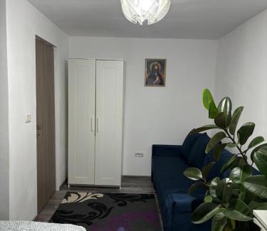 Dofteana House | Casa în regim hotelier
