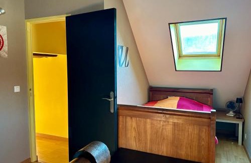 Ternay House | Casa 22