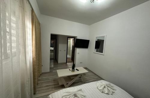 Vaslui House | Casa Albert Luca