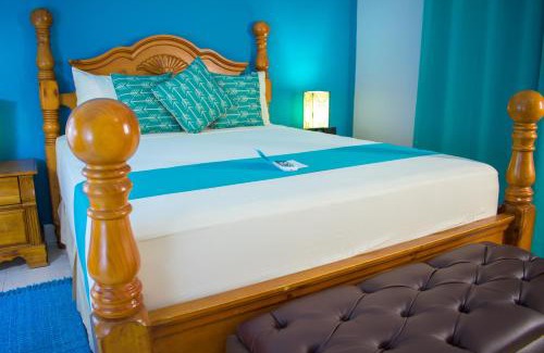 Constant Spring Apartment | Casa Alexandria Guest Apartment