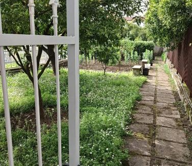 Giffoni sei Casali House | Casa Alfonsino