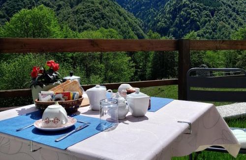Bannio Anzino Apartment | Casa all'Alpe Gaggetto B & B