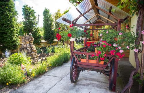 Sucevita House | Casa Andreea