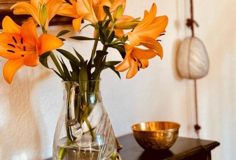 Collbato House | Casa Annie