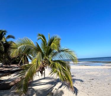 Yucatan Peninsula Bed & Breakfast | Casa Arsha Beachfront Bed & Breakfast