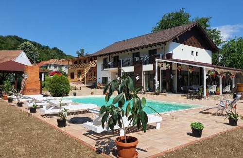 Pianu de Sus House | Casa Artemis-jacuzzi și piscină