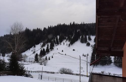Vatra Dornei House | Casa Aurici Vatra Dornei