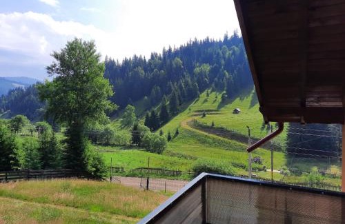 Vatra Dornei House | Casa Aurici Vatra Dornei