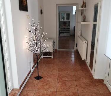 Calimanesti House | Casa Aurora