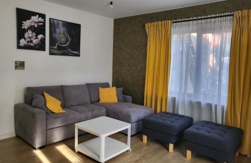 Baia-Sprie Villa | Casa Axente