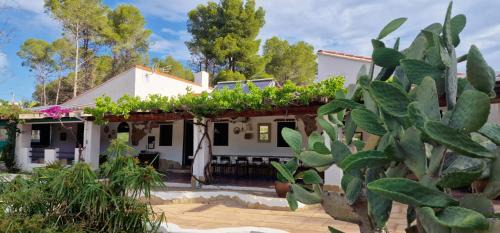 Macastre Villa | Casa Azahara your Valencian Villa