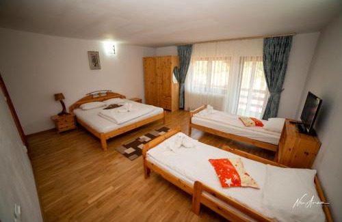 Arieseni House | CASA BINU