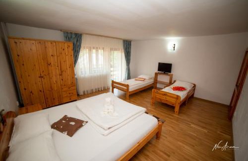 Arieseni House | CASA BINU
