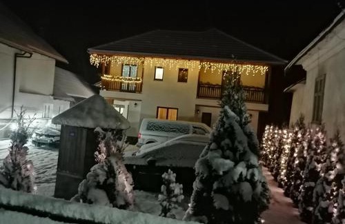 Moisei House | Casa Bunicii