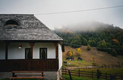 Dambovicioara House | Casa Bunicilor Ciocanu