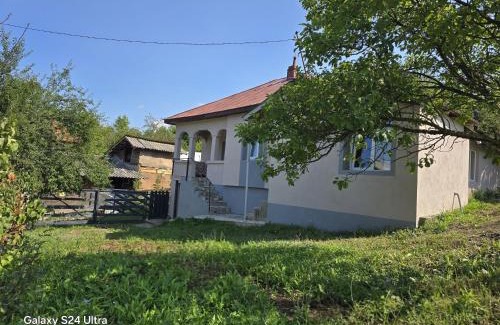 Visinesti House | Casa bunicilor- liniștea prispei, răcoarea beciului și aerul poianei