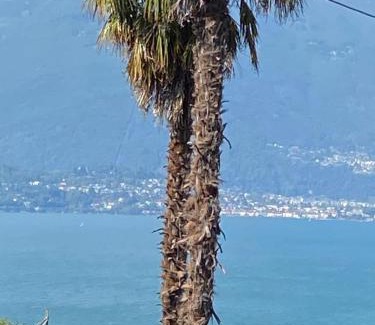 Pino Lago Maggiore House | Casa Calma
