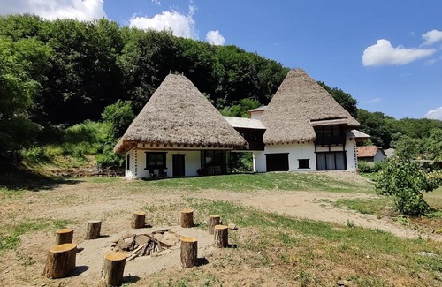 Cristolt House | Casa Catrinei