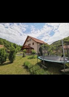 Orastioara de Sus House | Casa Cecilia
