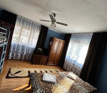 Ocna Sugatag House | Casa Chindris