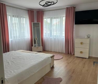 Mintiu Gherlii Villa | Casa crisan