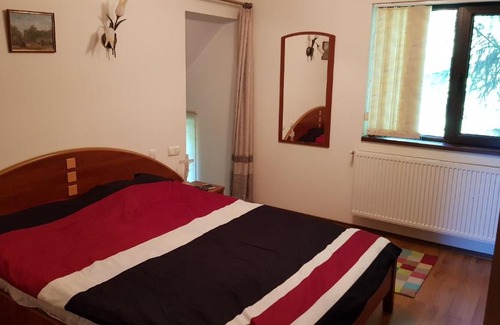 Provita de Jos House | Casa cu brazi