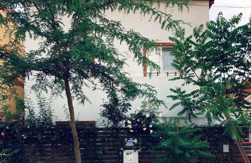 Eforie Sud House | Casa cu Smochin | House with the fig
