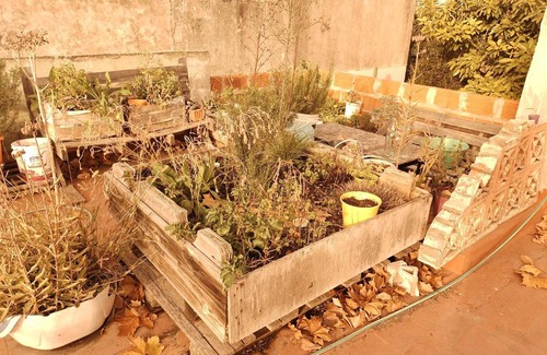 Vicente Lopez House | Casa del Arbol