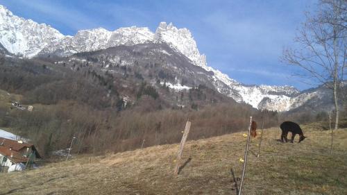 Recoaro Terme House | Casa da 2 a 7 posti nelle Piccole Dolomiti