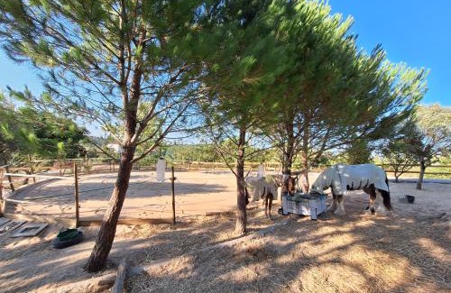 Tomar Bed & Breakfast | Casa Dani studio's, Tomar