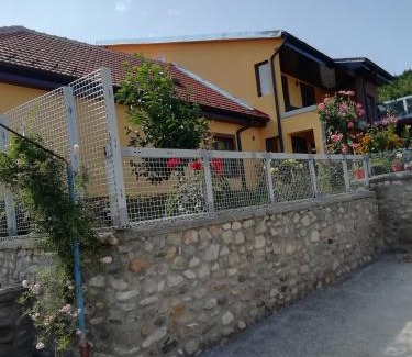 Orsova Apartment | Casa Darius